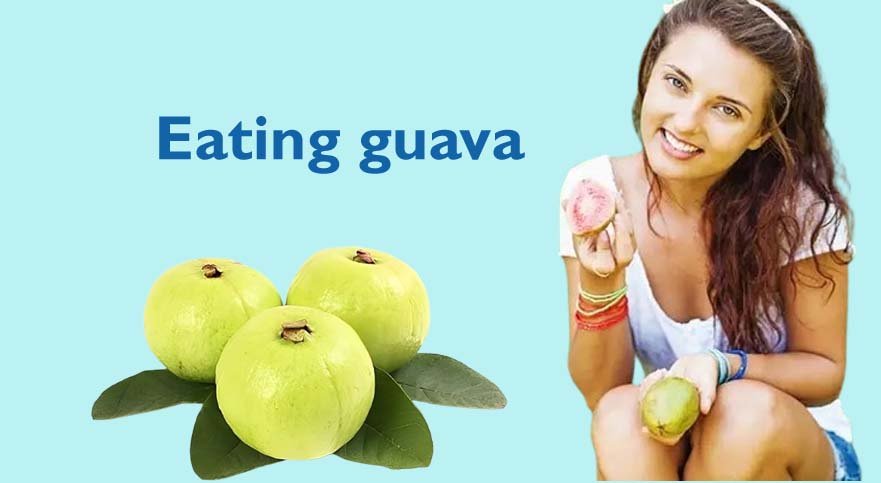 बवासीर में अमरुद के फायदे।Benefits of guava in piles.