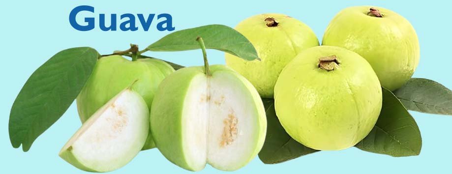 बवासीर में अमरुद के फायदे।Benefits of guava in piles.